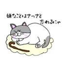 でぶネコ仙人【癒しのひと言】（個別スタンプ：16）