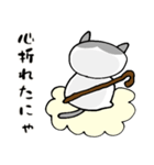 でぶネコ仙人【癒しのひと言】（個別スタンプ：21）