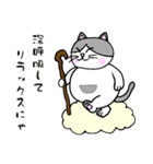 でぶネコ仙人【癒しのひと言】（個別スタンプ：22）