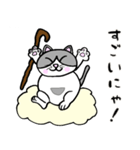 でぶネコ仙人【癒しのひと言】（個別スタンプ：23）