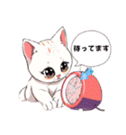 可愛にゃん子スタンプ（個別スタンプ：12）