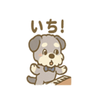 ゆるかわピアノ好きシュナ（個別スタンプ：1）