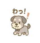 ゆるかわピアノ好きシュナ（個別スタンプ：3）