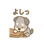 ゆるかわピアノ好きシュナ（個別スタンプ：5）