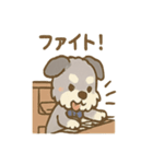 ゆるかわピアノ好きシュナ（個別スタンプ：16）