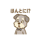 ゆるかわピアノ好きシュナ（個別スタンプ：17）