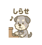 ゆるかわピアノ好きシュナ（個別スタンプ：19）