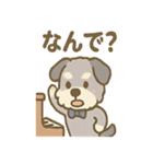 ゆるかわピアノ好きシュナ（個別スタンプ：29）