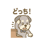 ゆるかわピアノ好きシュナ（個別スタンプ：33）