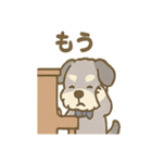 ゆるかわピアノ好きシュナ（個別スタンプ：36）