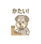 ゆるかわピアノ好きシュナ（個別スタンプ：37）