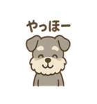 ほっこりシュナさんの日常スタンプ（個別スタンプ：1）