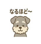 ほっこりシュナさんの日常スタンプ（個別スタンプ：7）