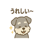 ほっこりシュナさんの日常スタンプ（個別スタンプ：8）