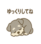 ほっこりシュナさんの日常スタンプ（個別スタンプ：9）