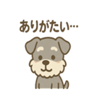 ほっこりシュナさんの日常スタンプ（個別スタンプ：10）
