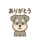 ほっこりシュナさんの日常スタンプ（個別スタンプ：15）
