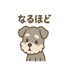 ほっこりシュナさんの日常スタンプ（個別スタンプ：16）