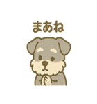 ほっこりシュナさんの日常スタンプ（個別スタンプ：20）