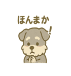 ほっこりシュナさんの日常スタンプ（個別スタンプ：21）