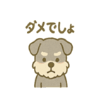 ほっこりシュナさんの日常スタンプ（個別スタンプ：24）