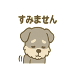 ほっこりシュナさんの日常スタンプ（個別スタンプ：28）