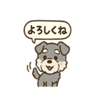 ほっこりシュナさんの日常スタンプ（個別スタンプ：36）
