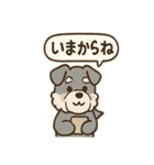 ほっこりシュナさんの日常スタンプ（個別スタンプ：38）