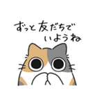 ねこぽっくるパステル三毛【友達】（個別スタンプ：2）
