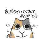 ねこぽっくるパステル三毛【友達】（個別スタンプ：3）