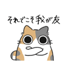 ねこぽっくるパステル三毛【友達】（個別スタンプ：4）