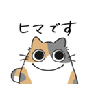 ねこぽっくるパステル三毛【友達】（個別スタンプ：7）