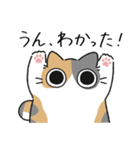 ねこぽっくるパステル三毛【友達】（個別スタンプ：14）