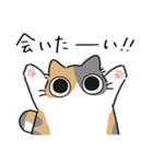 ねこぽっくるパステル三毛【友達】（個別スタンプ：23）
