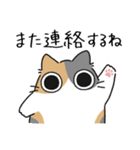 ねこぽっくるパステル三毛【友達】（個別スタンプ：26）