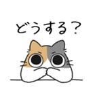 ねこぽっくるパステル三毛【友達】（個別スタンプ：30）
