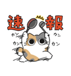 ねこぽっくるパステル三毛【友達】（個別スタンプ：33）
