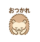 とげハリネズミのトゲ多めな日常スタンプ（個別スタンプ：23）