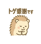 とげハリネズミのトゲ多めな日常スタンプ（個別スタンプ：26）