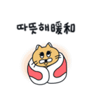 月猫の冬物語(韓国語 - 中国語)（個別スタンプ：2）
