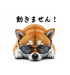 ぐでだる柴犬⭐年始(再販)（個別スタンプ：5）