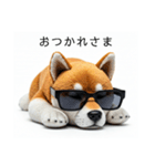ぐでだる柴犬⭐年始(再販)（個別スタンプ：9）