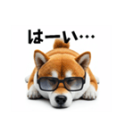 ぐでだる柴犬⭐年始(再販)（個別スタンプ：17）
