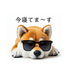 ぐでだる柴犬⭐年始(再販)（個別スタンプ：18）