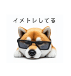 ぐでだる柴犬⭐年始(再販)（個別スタンプ：19）