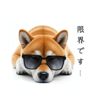 ぐでだる柴犬⭐年始(再販)（個別スタンプ：25）