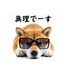 ぐでだる柴犬⭐年始(再販)（個別スタンプ：26）