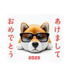 ぐでだる柴犬⭐年始(再販)（個別スタンプ：33）