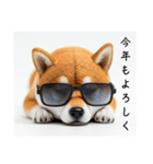 ぐでだる柴犬⭐年始(再販)（個別スタンプ：34）