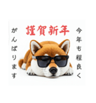 ぐでだる柴犬⭐年始(再販)（個別スタンプ：36）